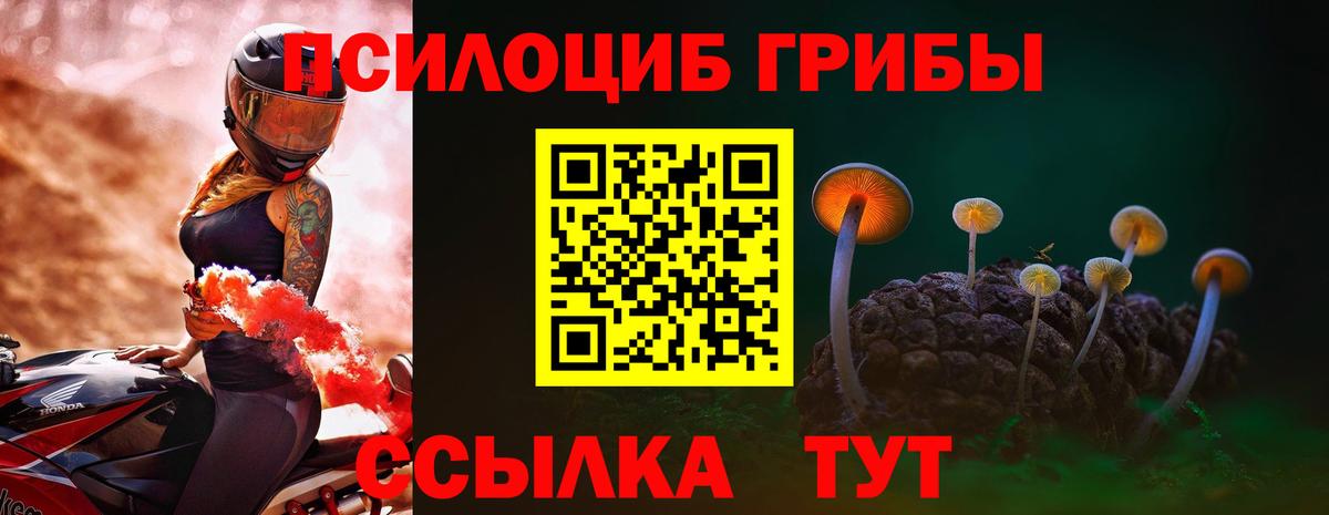 Псилоцибиновые грибы Cubensis  Псилоцибиновые грибы ЛСД  Приморско-Ахтарск  Вход с VPN 