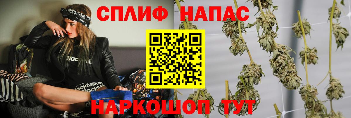 Шишки марихуана план Приморско-Ахтарск